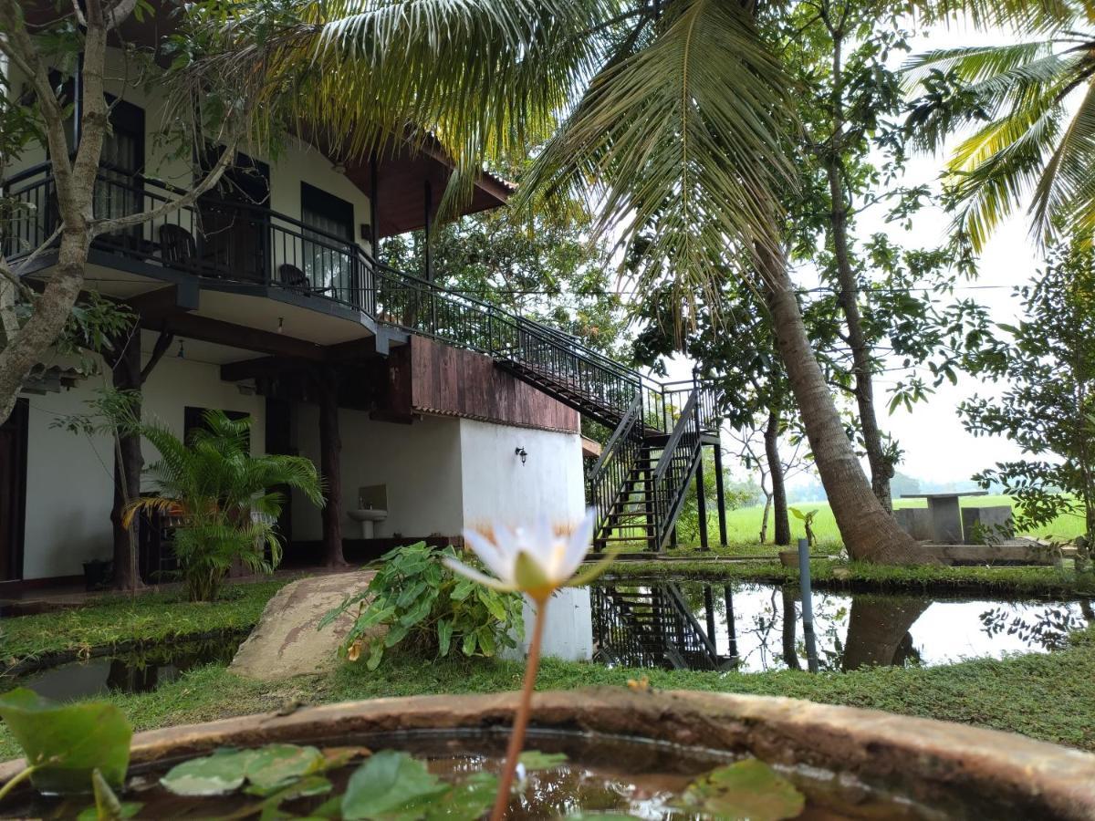 Village Mango Resort Yala Tissamaharama Exterior foto